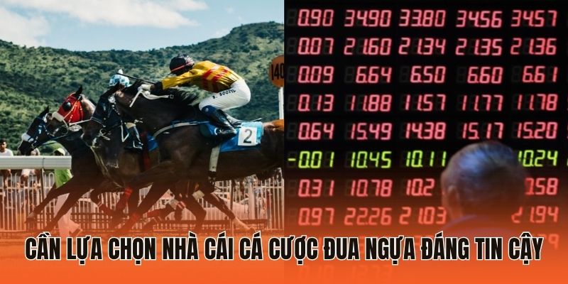 Kinh Nghiệm Cá Cược Đua Ngựa Giúp Tân Binh Tăng “Level” 1 Cần lựa chọn nhà cái cá cược đua ngựa đáng tin cậy