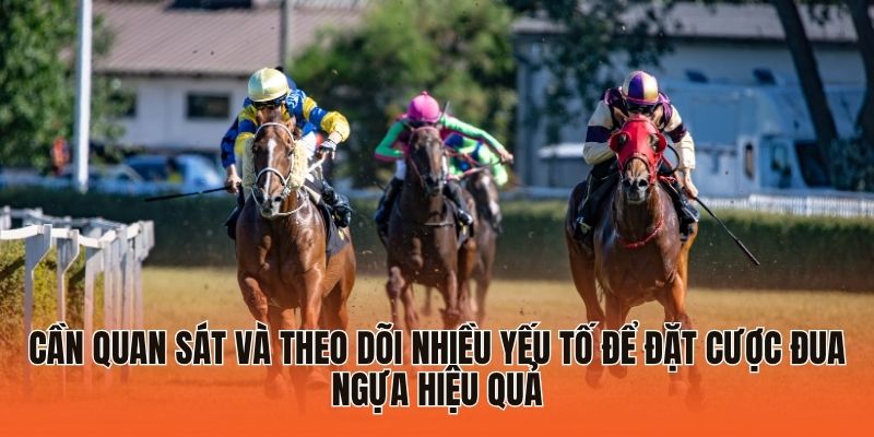 Kinh Nghiệm Cá Cược Đua Ngựa Giúp Tân Binh Tăng “Level” 4 Cần quan sát và theo dõi nhiều yếu tố để đặt cược đua ngựa hiệu quả