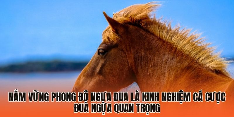 Kinh Nghiệm Cá Cược Đua Ngựa Giúp Tân Binh Tăng “Level” 3 Nắm vững phong độ ngựa đua là kinh nghiệm cá cược đua ngựa quan trọng